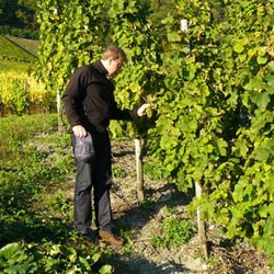 竹材,竹板材工程案例